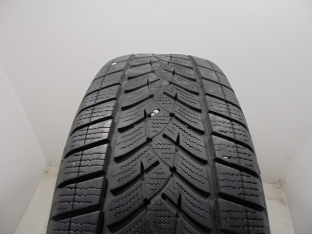 Goodyear Ultragrip G1 tyre
