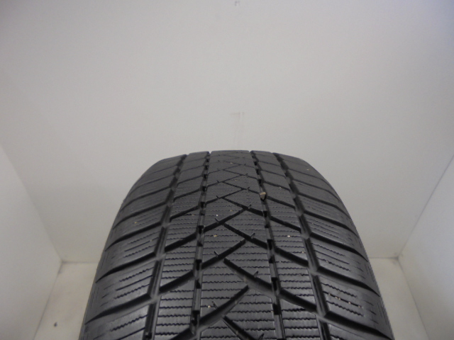 GT Radial Winter Pro2 Sport tyre