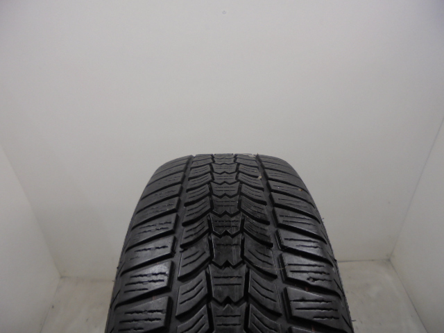 Sava Eskimo HP2 tyre