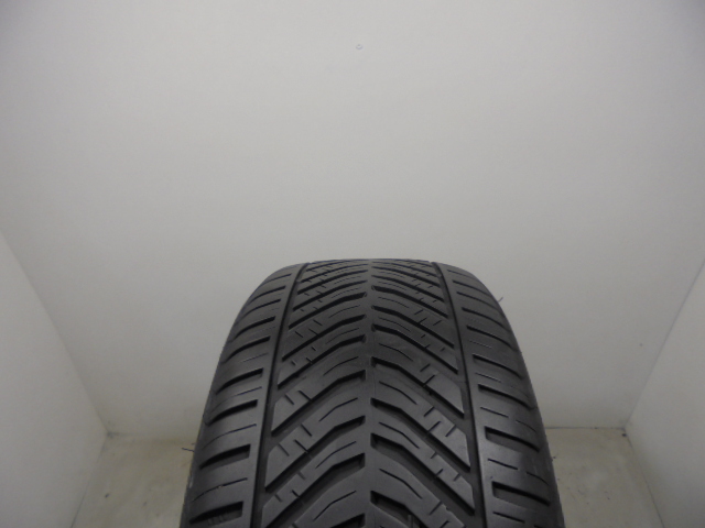 Riken All Season tyre