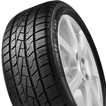 Delinte AW5 tyre
