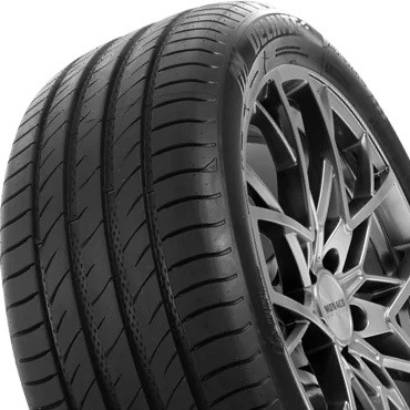 Delinte DS2 tyre