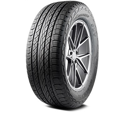 Antares MAJ-R1 tyre