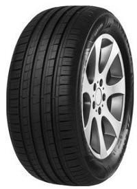 Minerva 209 tyre
