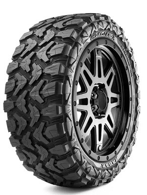 Radar REN-X TL P.O.R. M+S tyre