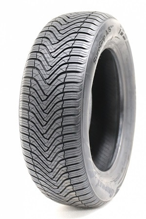 GRIPMAX NANO tyre