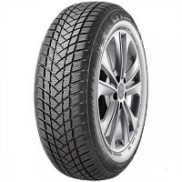 GT Radial GTRADIAL W-PRO2 tyre